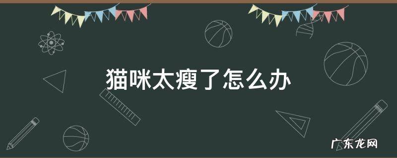 猫咪很瘦怎么办 猫咪太瘦了怎么办
