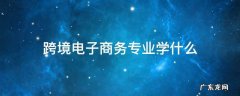跨境电子商务专业学什么 跨境电子商务专业学什么就业方向