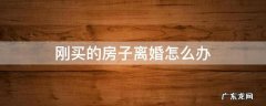 刚买完房子离婚怎么办 刚买的房子离婚怎么办