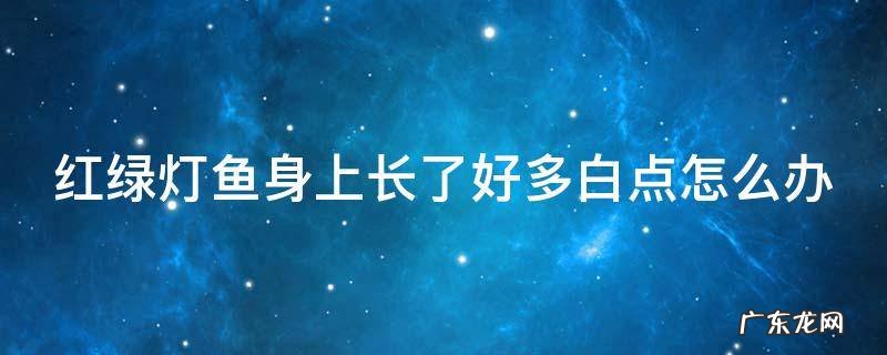 红绿灯鱼身上长了好多白点怎么办 红绿灯鱼身上发白然后就死了