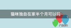 猫咪一个人在家半个月可以吗 猫咪独自在家半个月可以吗