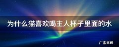 为什么猫喜欢喝主人杯子里面的水 为什么猫喜欢喝主人杯子里面的水呢
