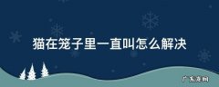 猫咪在笼子里老叫怎么办 猫在笼子里一直叫怎么解决