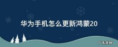 华为手机怎么更新鸿蒙系统p30pro 华为手机怎么更新鸿蒙2.0