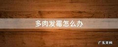 春天多肉发霉怎么办 多肉发霉怎么办