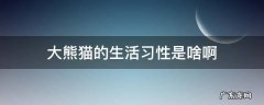 大熊猫的生活习性是啥啊