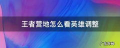王者营地如何看英雄调整 王者营地怎么看英雄调整