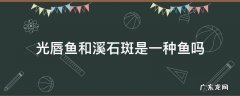 溪石斑属于什么鱼种 光唇鱼和溪石斑是一种鱼吗