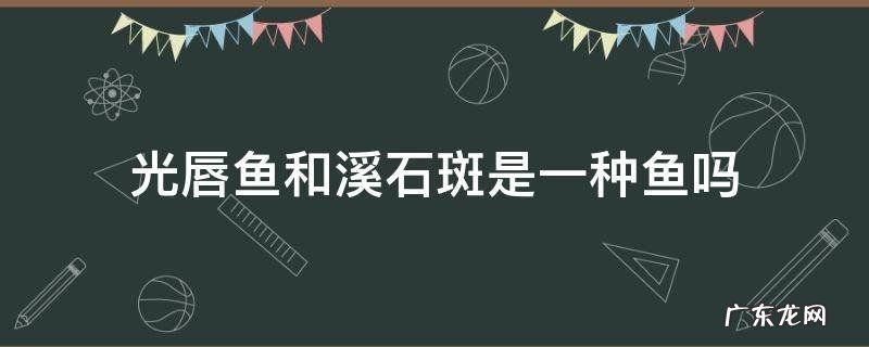 溪石斑属于什么鱼种 光唇鱼和溪石斑是一种鱼吗