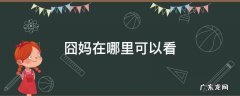 囧妈在哪里可以看电影 囧妈在哪里可以看