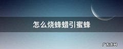 怎么烧蜂蜡引蜜蜂 怎样烧蜜蜡诱蜜蜂