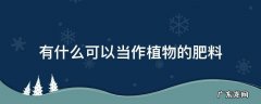有什么可以当作植物的肥料 可做肥料的植物
