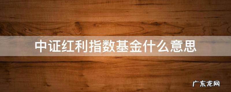 中证红利是指数基金吗 中证红利指数基金什么意思