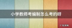 小学教师考编制怎么考的呀 小学考编制教师考什么