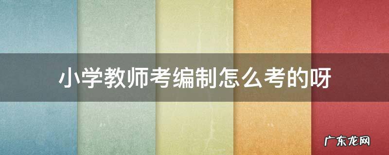 小学教师考编制怎么考的呀 小学考编制教师考什么
