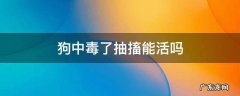 狗中毒了抽搐能活吗 狗已经中毒抽搐还能救吗