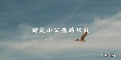 醋炖小公鸡，营养丰富，有助于健康！