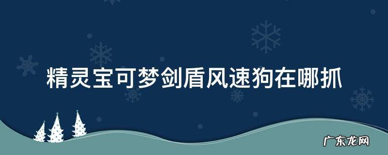 宝可梦剑盾风速狗在哪里抓 精灵宝可梦剑盾风速狗在哪抓