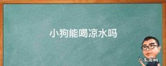 小狗能喝凉水吗 小狗不能喝凉水吗