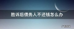 胜诉后债务人不还钱怎么办 起诉欠款人胜诉了还不还钱咋办