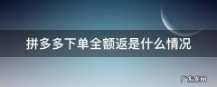拼多多下单全额返是什么情况 拼多多下单全额返是返什么