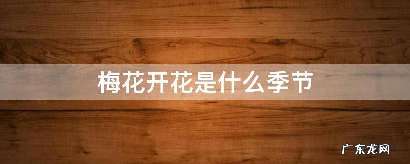 梅花是什么季节开花? 梅花开花是什么季节