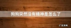 狗狗突然没有精神是怎么了 狗狗突然之间没精神了