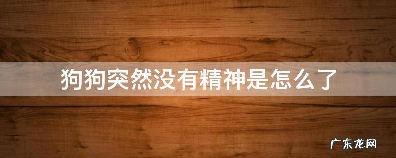 狗狗突然没有精神是怎么了 狗狗突然之间没精神了