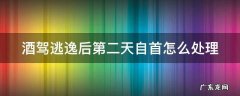 酒驾肇事逃逸第二天自首怎么处罚 酒驾逃逸后第二天自首怎么处理
