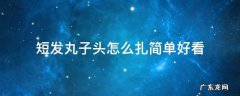 短发丸子头怎么扎简单好看 小女孩短发丸子头怎么扎简单好看