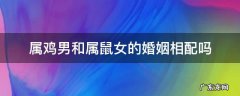 属鸡男和属鼠女的婚姻相配吗 属鸡男与属鼠女配婚姻怎样