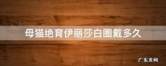 母猫绝育完戴多久伊丽莎白圈 母猫绝育伊丽莎白圈戴多久