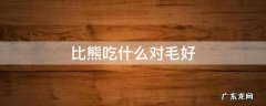 比熊平时吃什么对毛发和身体好 比熊吃什么对毛好