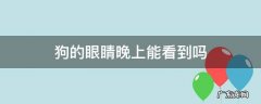 狗的眼睛晚上能看到吗 狗的眼睛在晚上