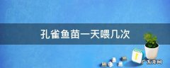 孔雀鱼苗一天喂几次 刚生的孔雀鱼苗一天喂几次