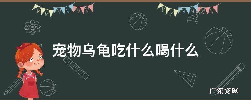 乌龟吃什么 宠物乌龟吃什么喝什么