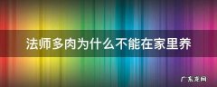 法师多肉为什么不能在家里养 法师多肉可以放在室内养吗