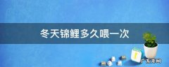 冬天锦鲤多久喂一次 锦鲤冬天多少度可以喂食