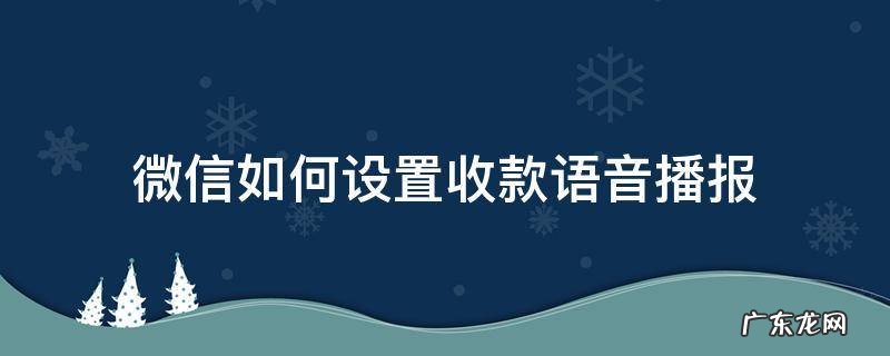 微信如何设置收款语音播报金额 微信如何设置收款语音播报
