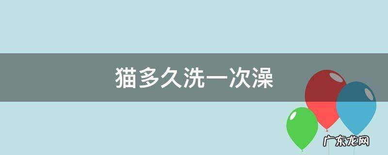 宠物猫多长时间洗一次澡合适 猫多久洗一次澡