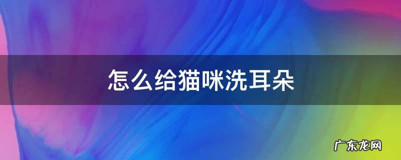 怎么给猫咪洗耳朵 怎么给猫咪洗耳朵视频