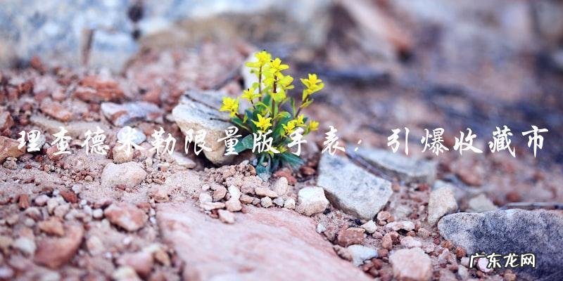 限量版手表引爆收藏市场,究竟谁是理查德米勒的幸运儿?