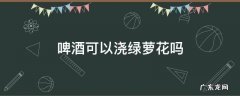啤酒可以用来浇绿萝花吗 啤酒可以浇绿萝花吗