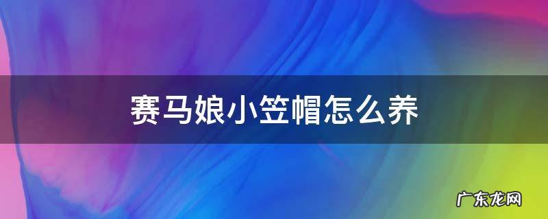 赛马娘小笠帽a养成养成 赛马娘小笠帽怎么养