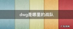 dwg是哪里的战队 dwg队伍是哪国的战队