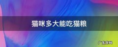 猫咪多大能吃猫粮 不用泡 猫咪多大能吃猫粮