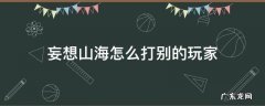 妄想山海怎么打别的玩家 妄想山海怎么开红打人