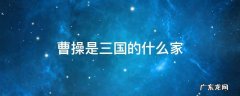曹操是三国吗 曹操是三国的什么家