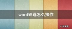 word筛选怎么操作excel word筛选怎么操作