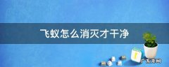 白蚁飞蚁怎么消灭才干净 飞蚁怎么消灭才干净